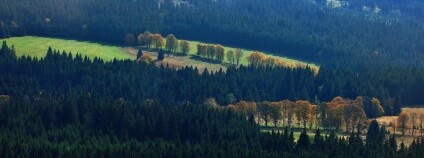 Foto: Martin Mach Ondřej / Ekolist.cz